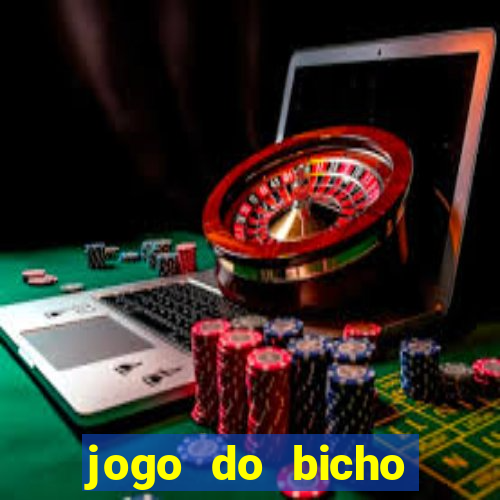 jogo do bicho crash bingo